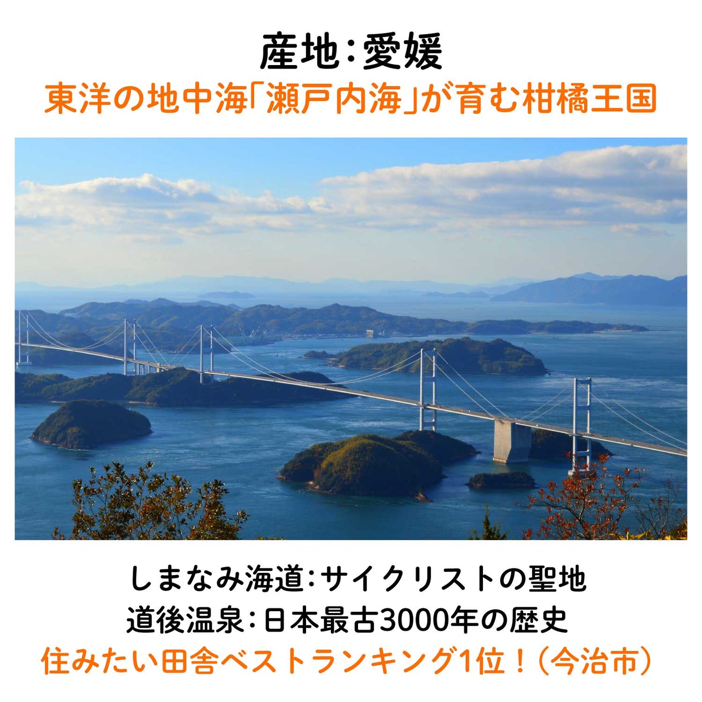 BO_LP_09.jpg__PID:44b52239-8a94-407b-a091-61045ee8c60c