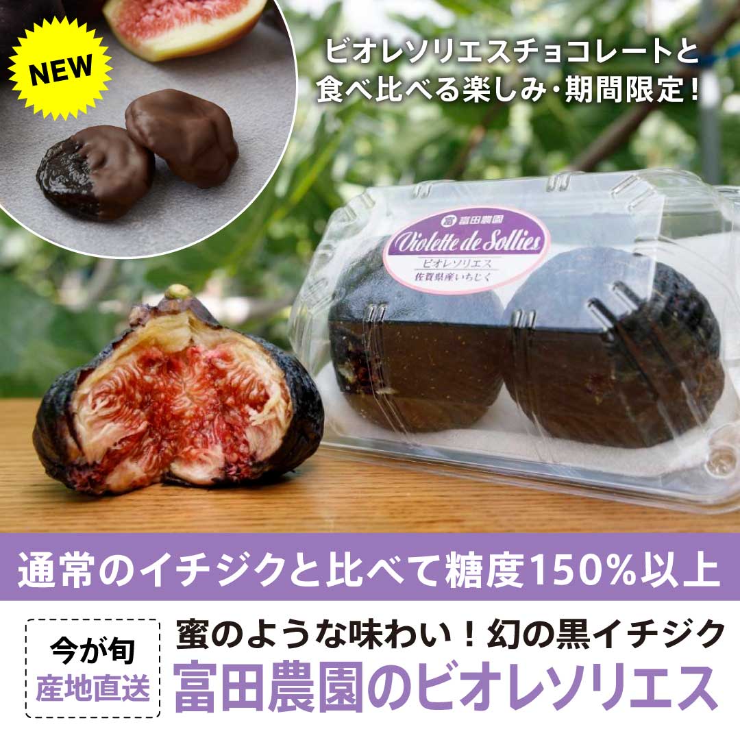 【産直フルーツ】幻の黒イチジク"ビオレソリエス"|平均糖度25度!佐賀唐津の富田農園(秀品 贈答用品質)