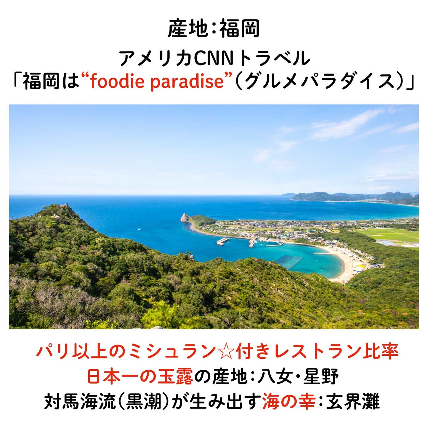 【福岡産】"あまおう"いちごカシューナッツチョコレート