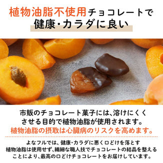 【長野千曲産】あんずフルーツチョコレート｜『日本一のあんずの里』長野千曲産あんず