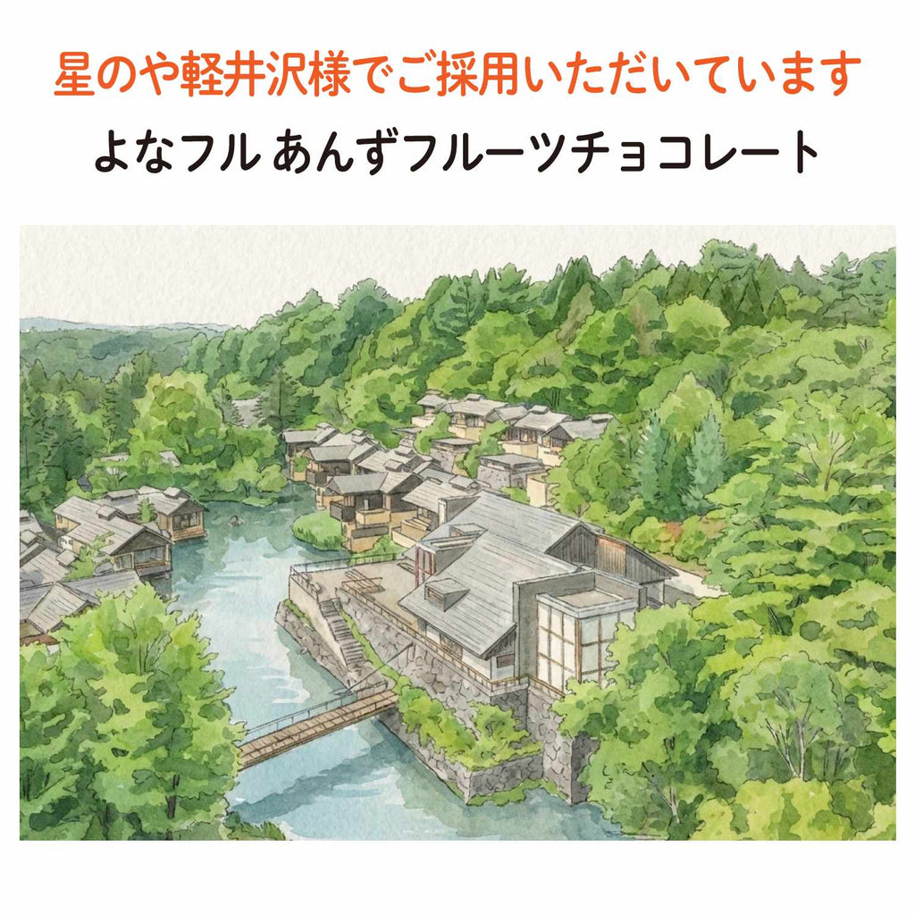 【長野千曲産】あんずフルーツチョコレート｜『日本一のあんずの里』長野千曲産あんず