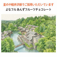 【長野千曲産】あんずフルーツチョコレート｜『日本一のあんずの里』長野千曲産あんず