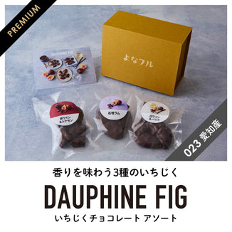 【愛知産】香る いちじくチョコレート3種アソートセット