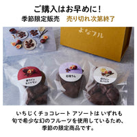 【愛知産】香る いちじくチョコレート3種アソートセット