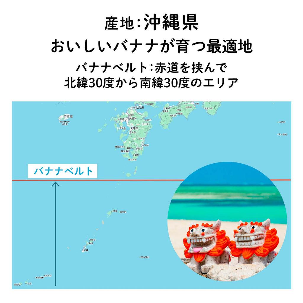 【沖縄産】島バナナチョコレート