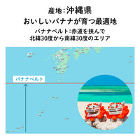 【沖縄産】島バナナチョコレート