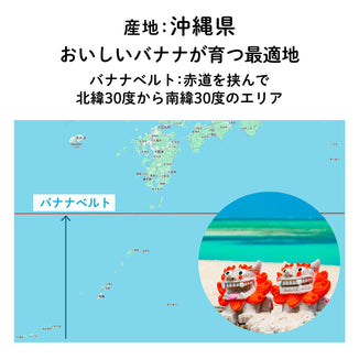 【沖縄産】島バナナチョコレート