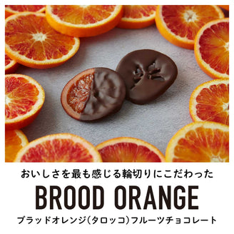 【1,000円おトク】ブラッドオレンジフルーツチョコレート10個セット｜送料無料・リピーター専用セット