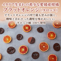 【1,000円おトク】不知火・ブラッドオレンジフルーツチョコレート10個セット｜送料無料・リピーター専用セット