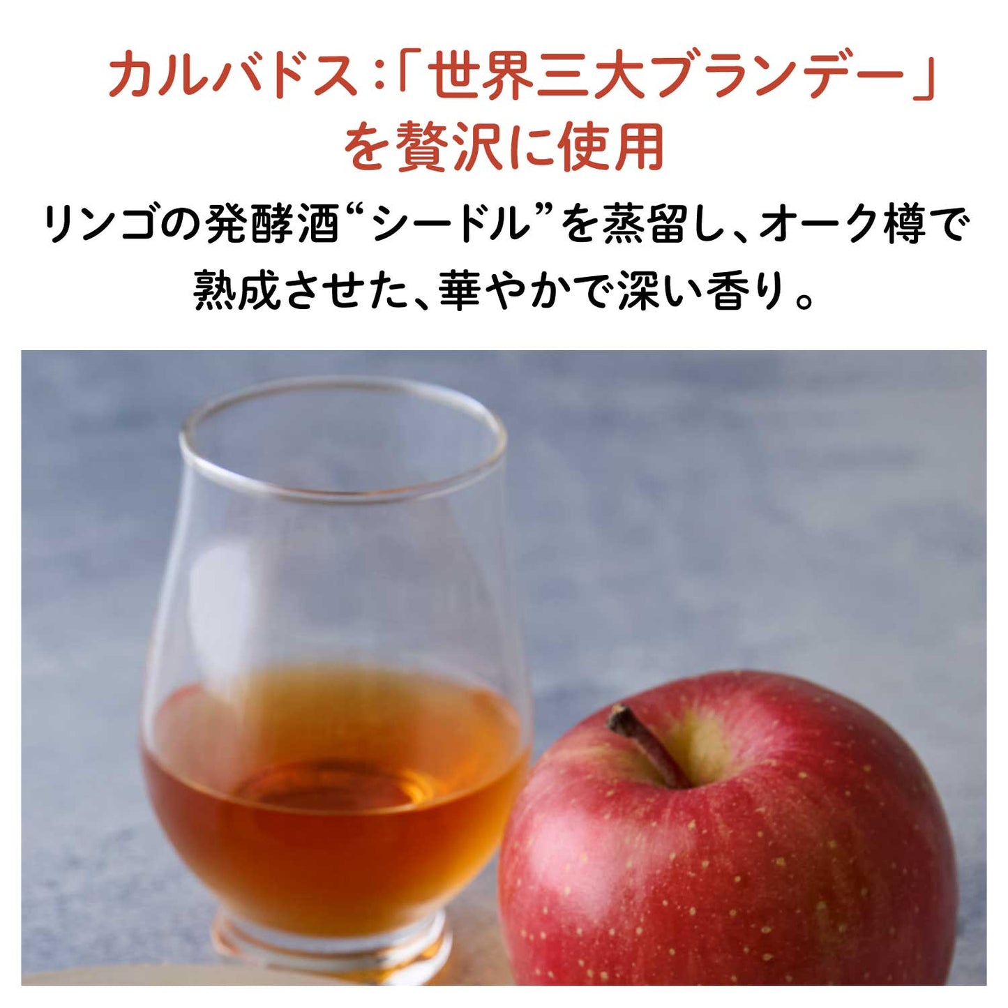 NEW【長野産】”ふじ”りんごチョコレート