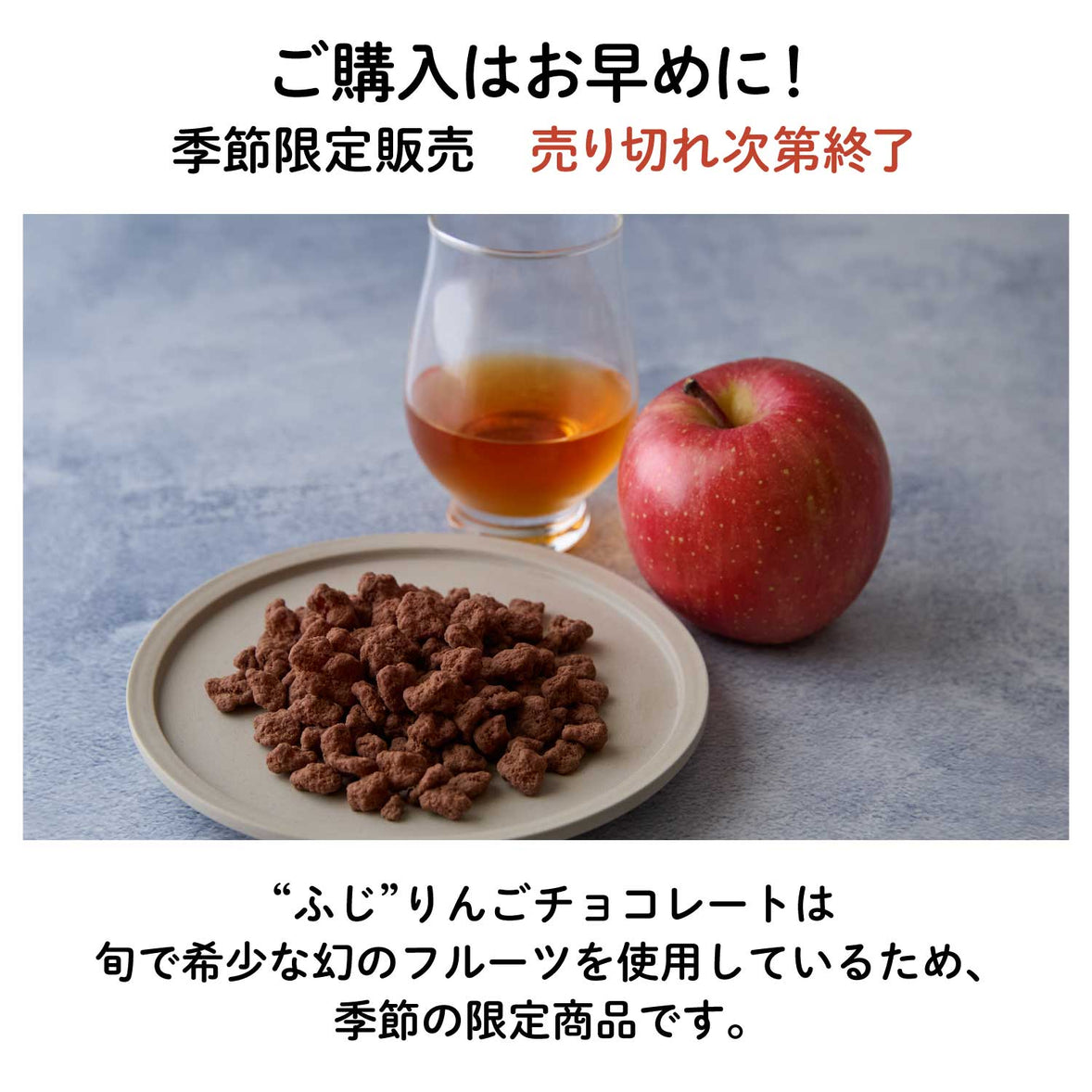 NEW【長野産】”ふじ”りんごチョコレート