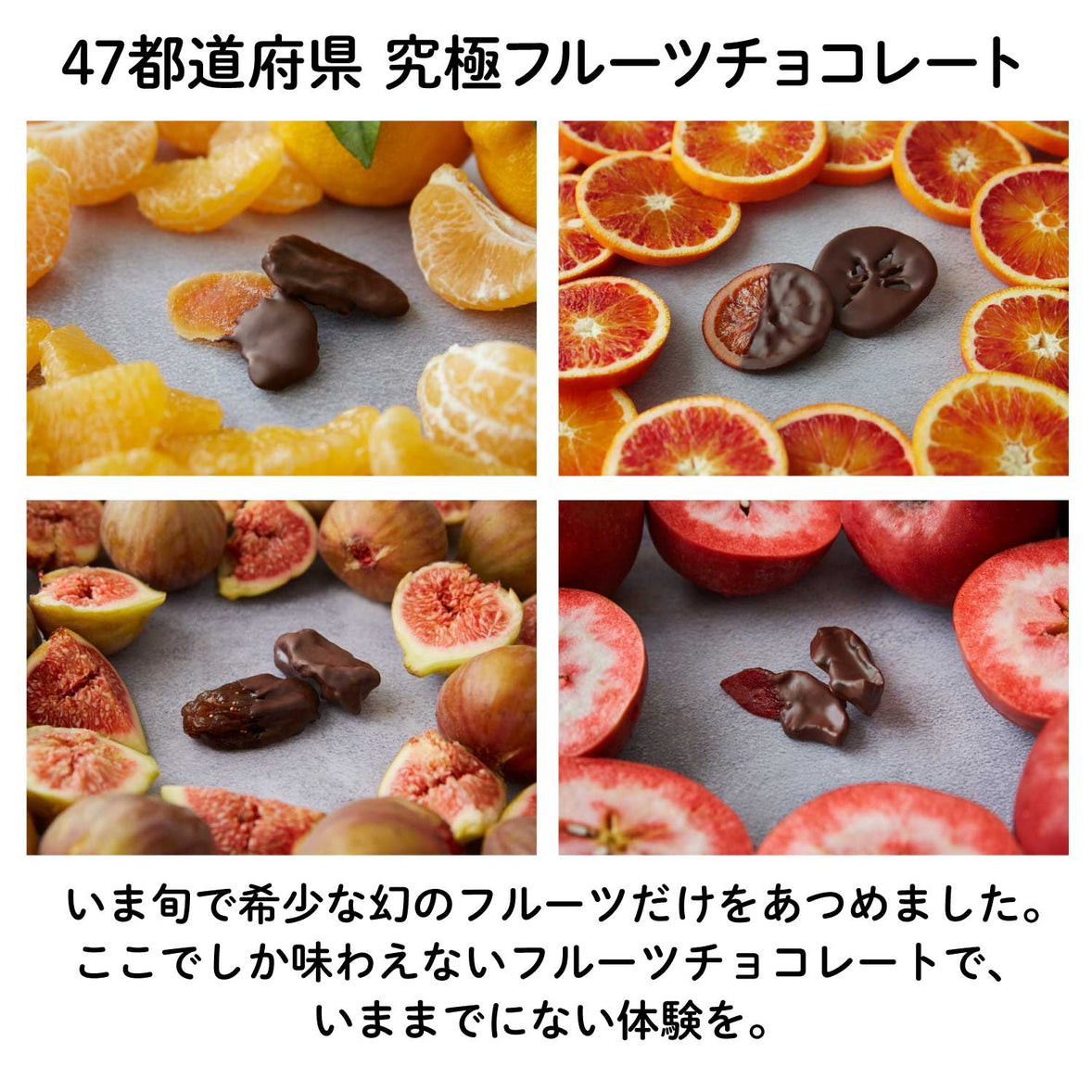 NEW【長野産】”ふじ”りんごチョコレート