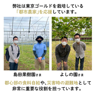 【東京三鷹産】東京ゴールドキウイチョコレート