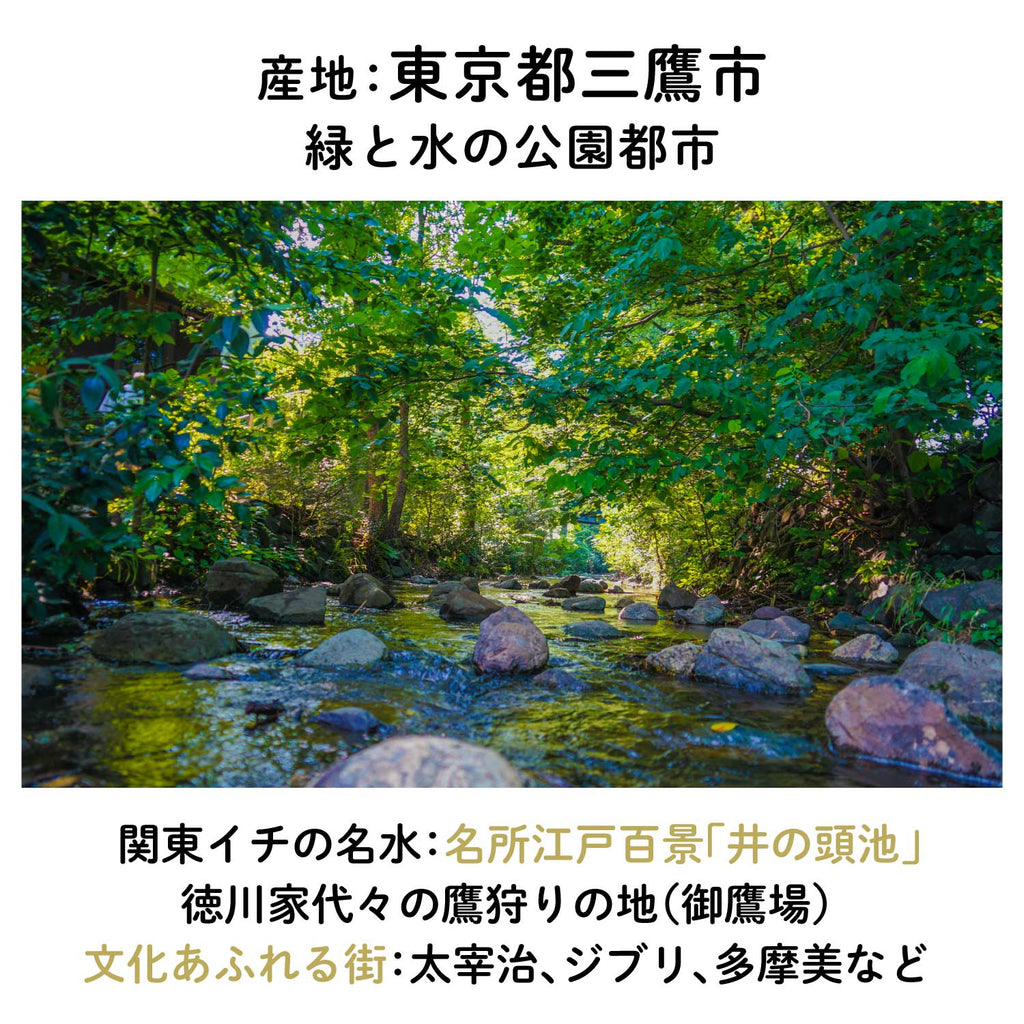 【東京三鷹産】東京ゴールドキウイチョコレート