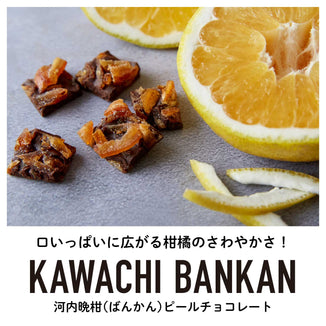 賞味期限26年2月7日【愛媛産】河内晩柑(ばんかん)ピールチョコレート