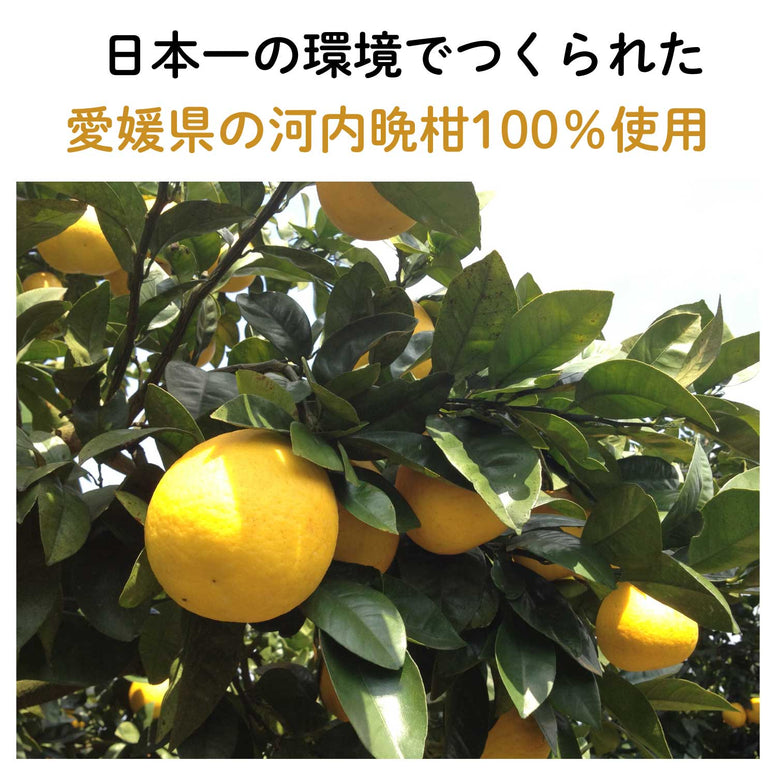 賞味期限10月29日【愛媛産】河内晩柑(ばんかん)ピールチョコレート