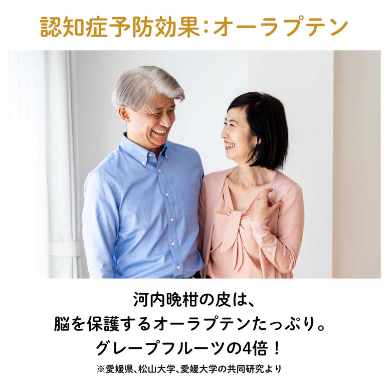 賞味期限10月29日【愛媛産】河内晩柑(ばんかん)ピールチョコレート