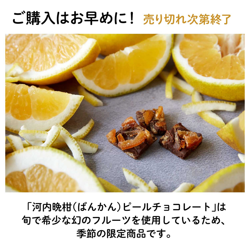 賞味期限26年2月7日【愛媛産】河内晩柑(ばんかん)ピールチョコレート