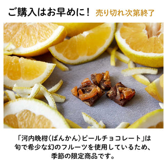 賞味期限26年2月7日【愛媛産】河内晩柑(ばんかん)ピールチョコレート