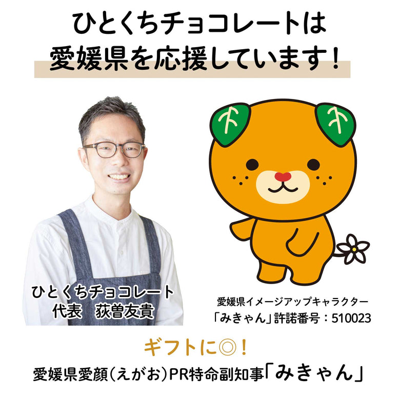 賞味期限10月29日【愛媛産】河内晩柑(ばんかん)ピールチョコレート