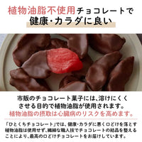 【岩手産】奇跡のりんご”紅の夢”アップルチョコレート