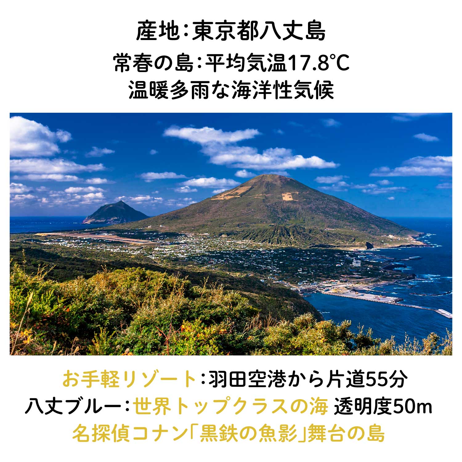 【東京八丈島産】八丈フルーツレモンピールチョコレート