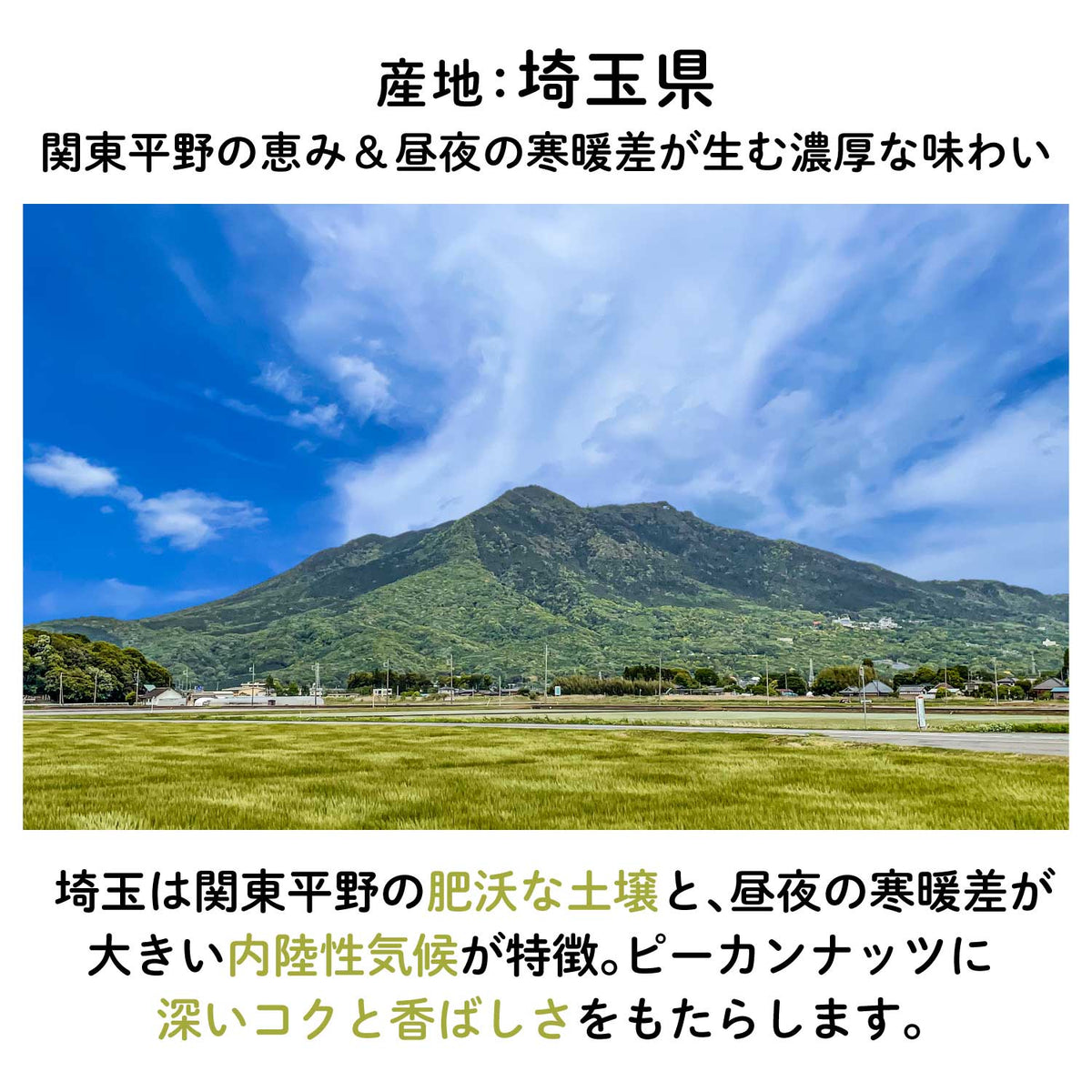 【埼玉産】ピーカンナッツ抹茶チョコレート