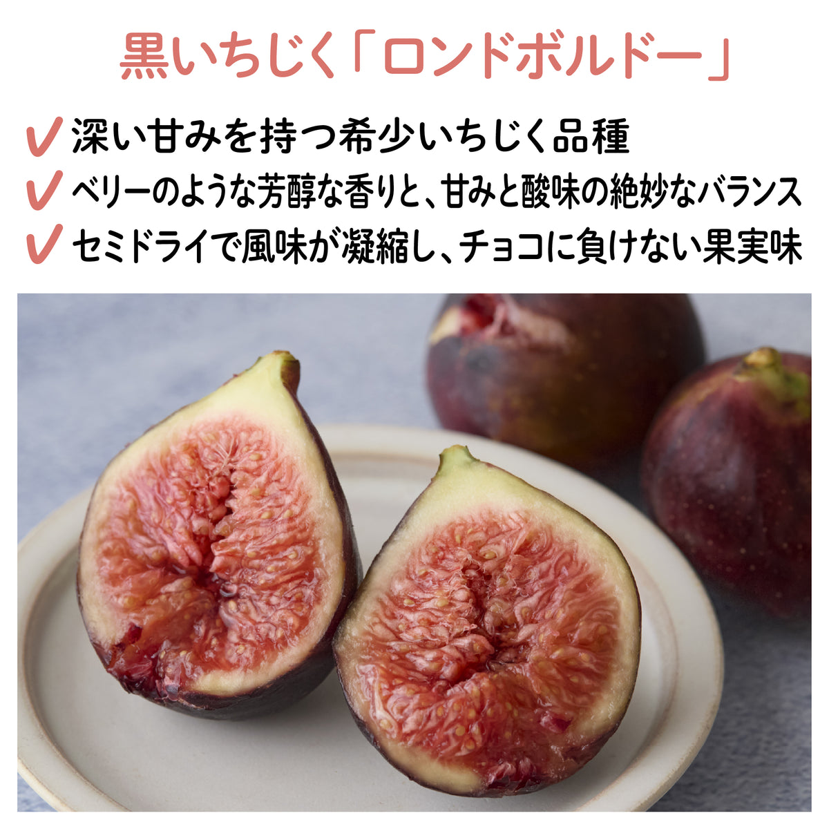 【宮城産】幻の黒いちじく"ロンドボルドー"チョコレート