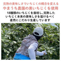 【宮城産】幻の黒いちじく
