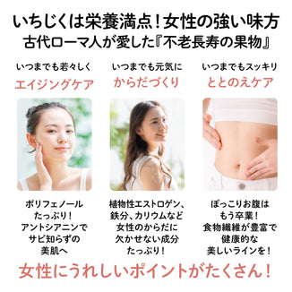 【宮城産】幻の黒いちじく