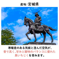 【宮城産】幻の黒いちじく