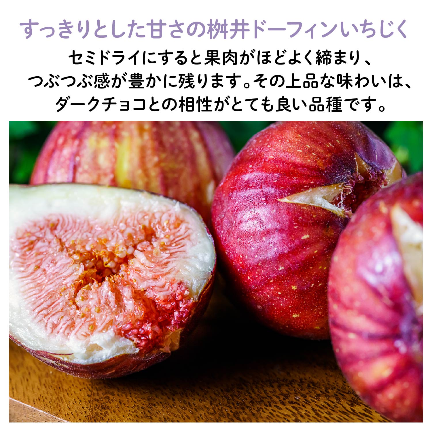 【愛知産】ラム香る いちじくフルーツチョコレート