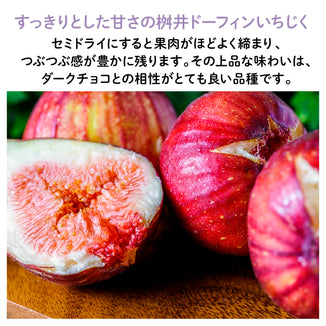 【愛知産】ラム香る いちじくフルーツチョコレート