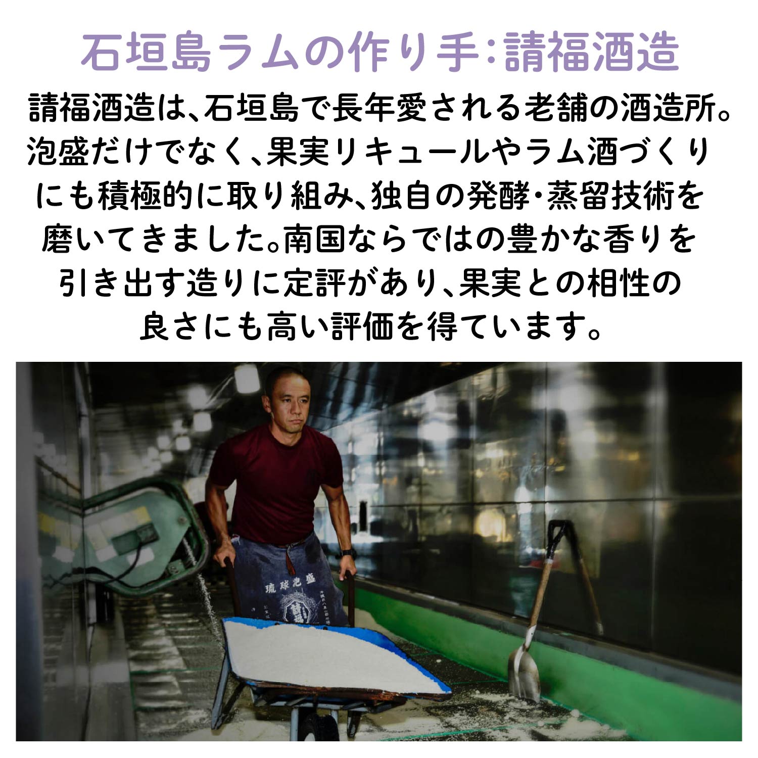 ラム香る いちじくフルーツチョコレート