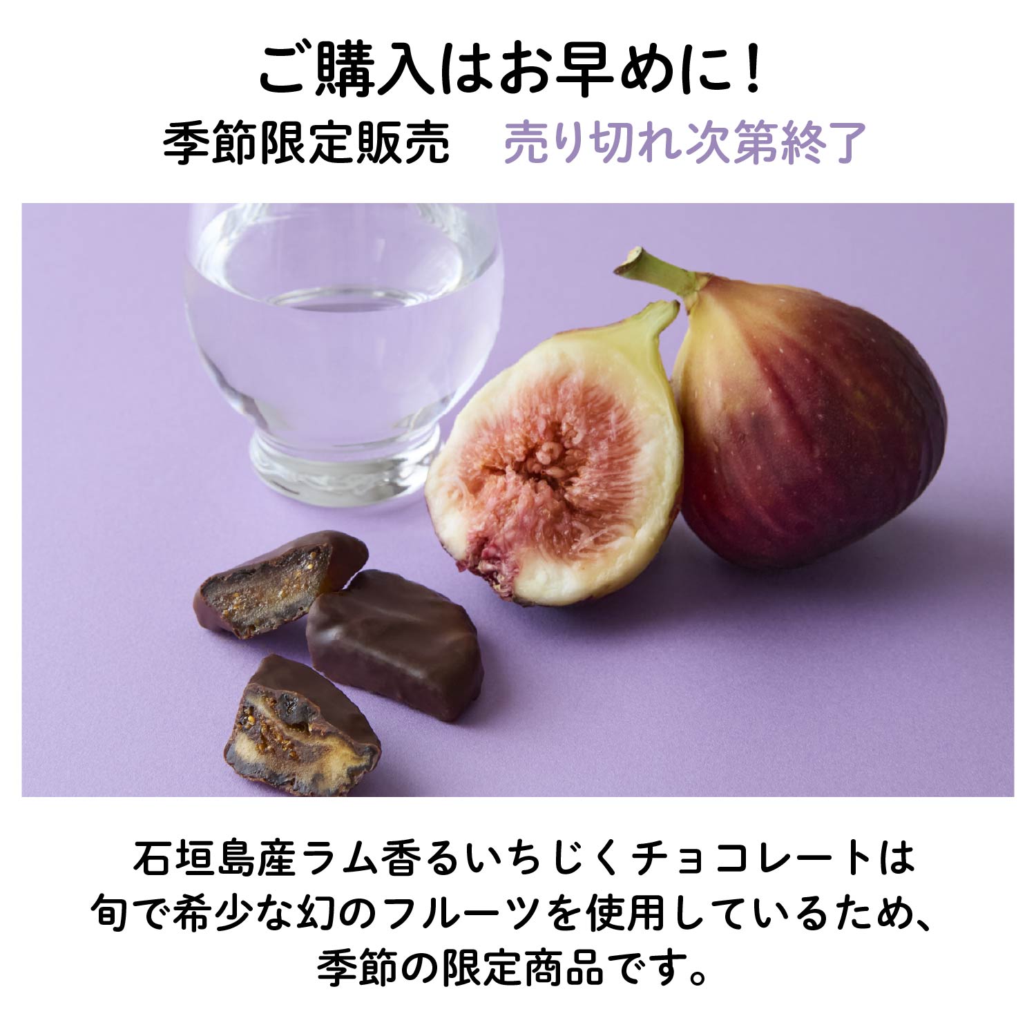 ラム香る いちじくフルーツチョコレート