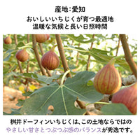 【愛知産】シナモン香る いちじくフルーツチョコレート