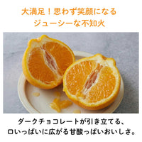 【人気No.1】不知火（しらぬい・デコポン）フルーツチョコレート｜熊本産