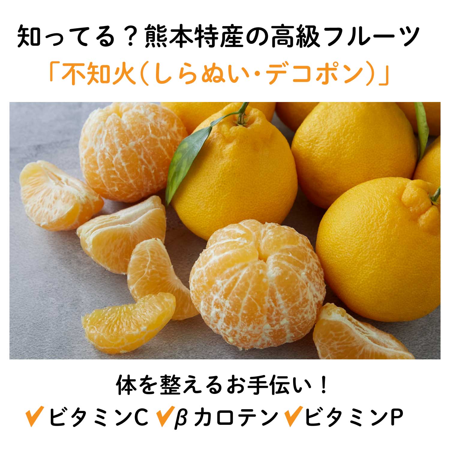 SHIRANUHI_LP_03.jpg__PID:4d422a1a-e667-4c15-912d-887270436236
