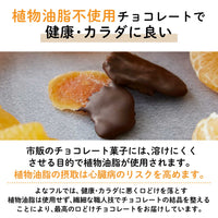 【ギフトセット】フルーツチョコレート 2個セット