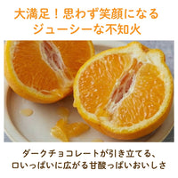 【人気No.1】不知火（しらぬい・デコポン）フルーツチョコレート｜熊本産