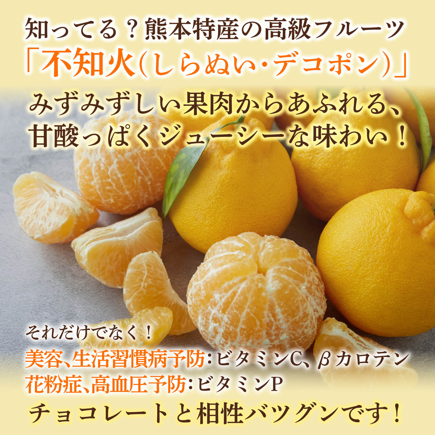 【1,000円おトク】不知火・ブラッドオレンジフルーツチョコレート10個セット｜送料無料・リピーター専用セット