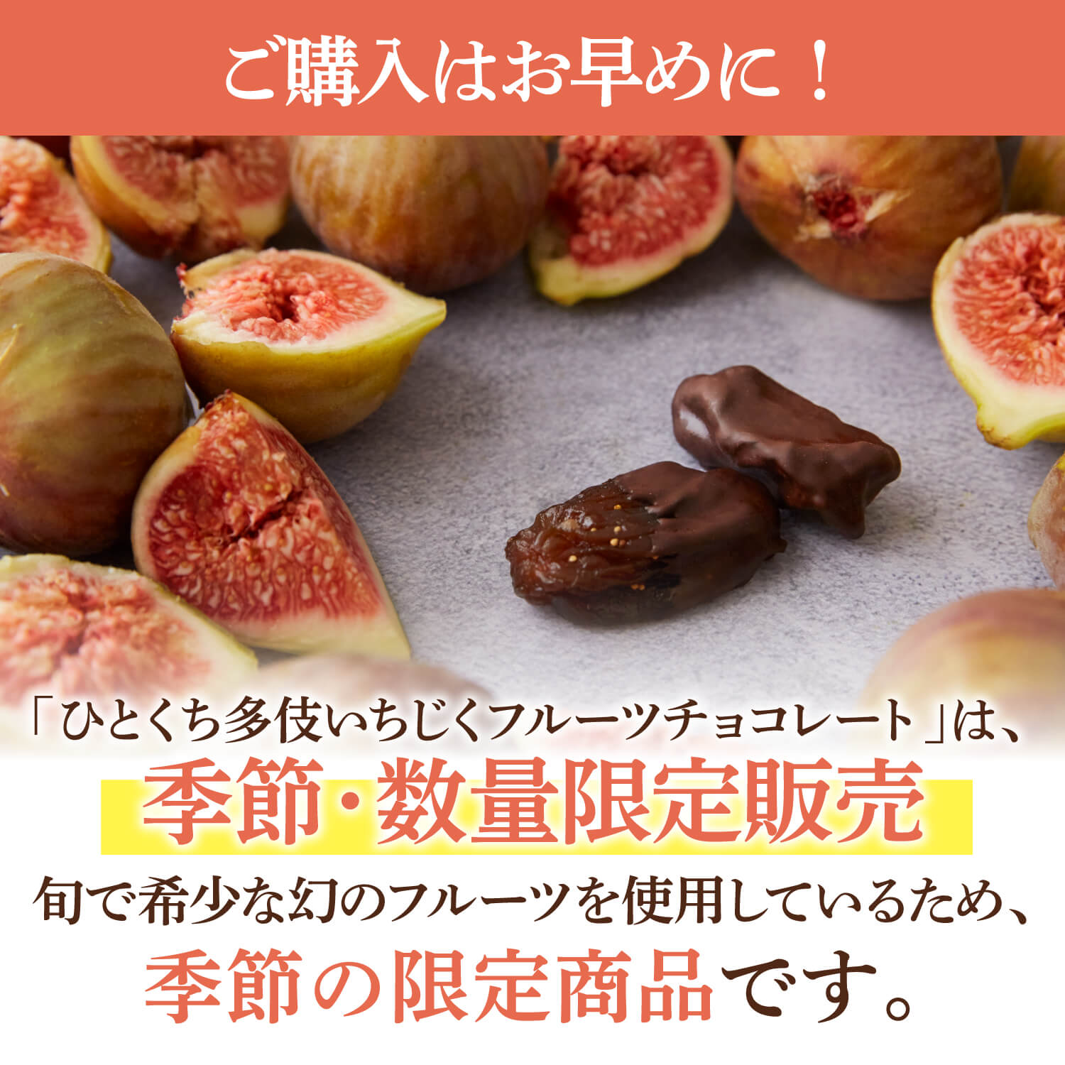 【マツコ絶賛】多伎いちじくフルーツチョコレート｜フランス最優秀賞受賞