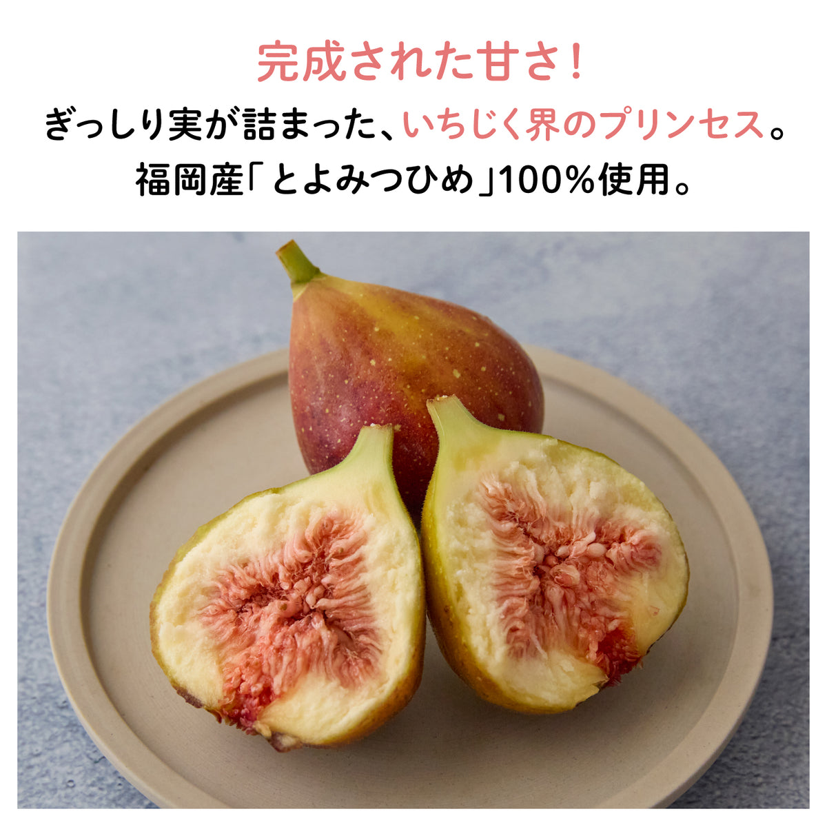 【福岡産】"とよみつひめ"いちじくチョコレート