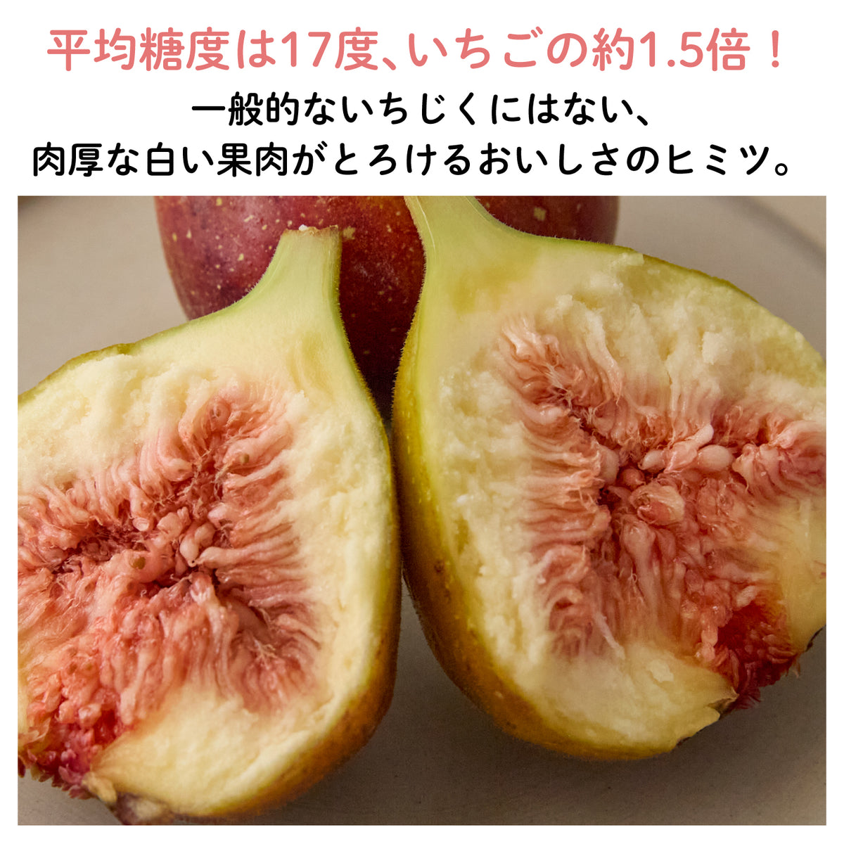 【福岡産】"とよみつひめ"いちじくチョコレート