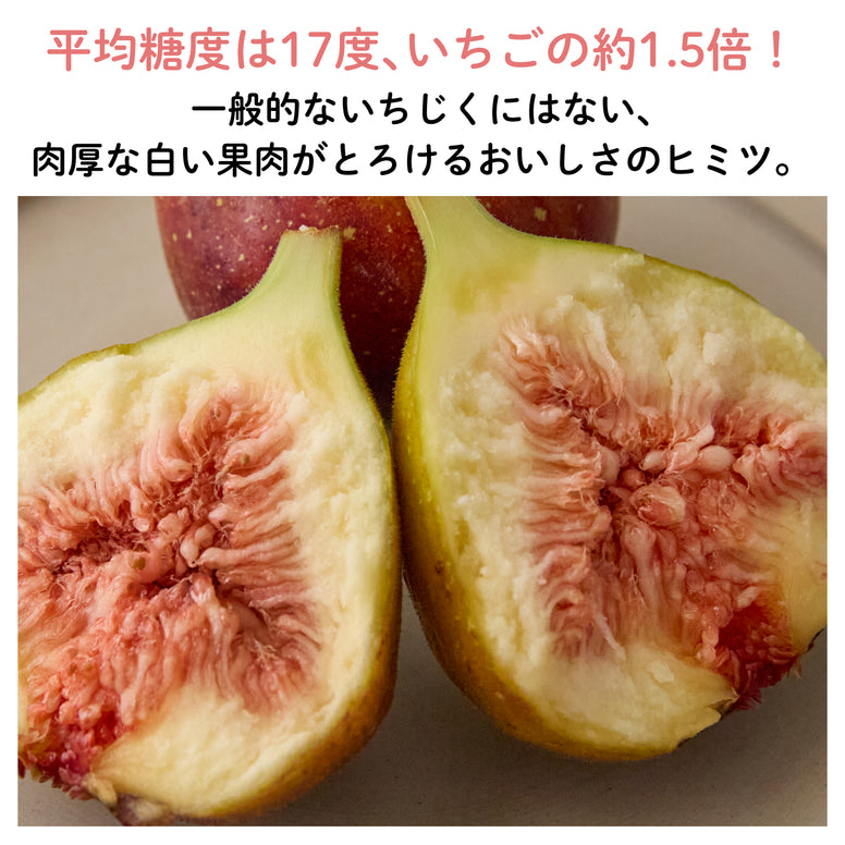 【福岡産】