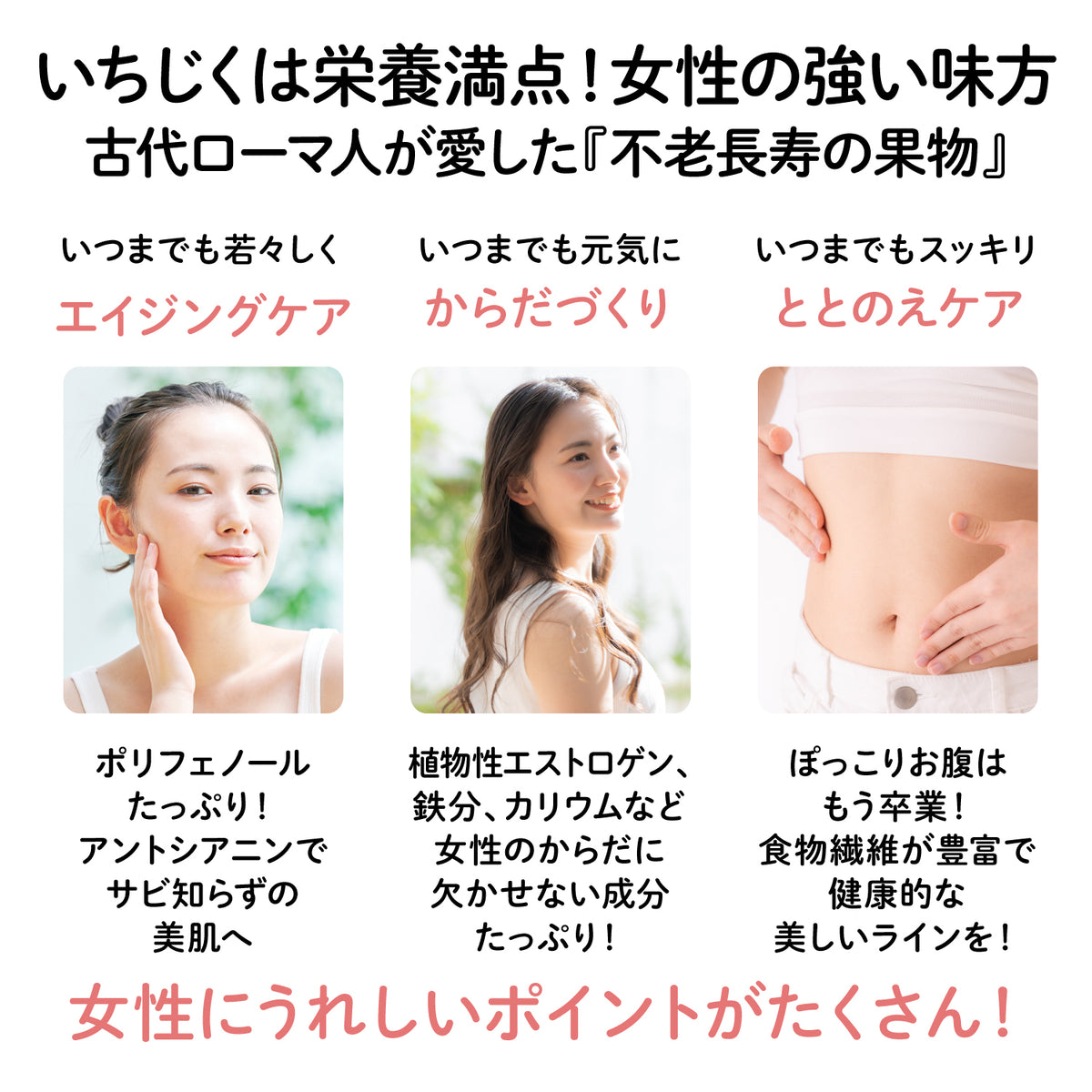 【福岡産】"とよみつひめ"いちじくチョコレート