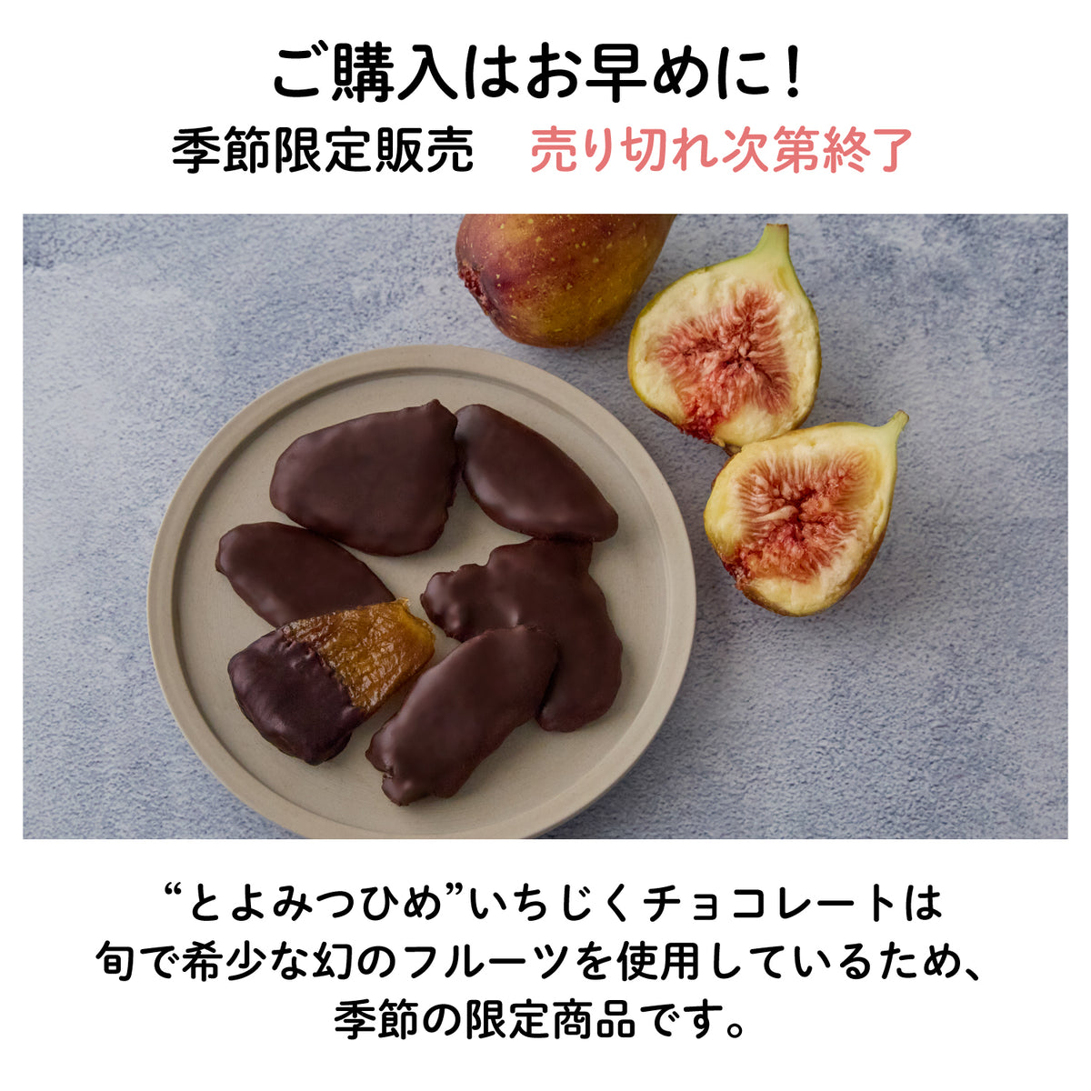 【福岡産】"とよみつひめ"いちじくチョコレート