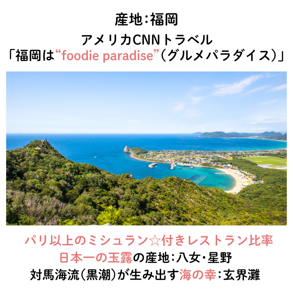 【福岡産】"とよみつひめ"いちじくチョコレート