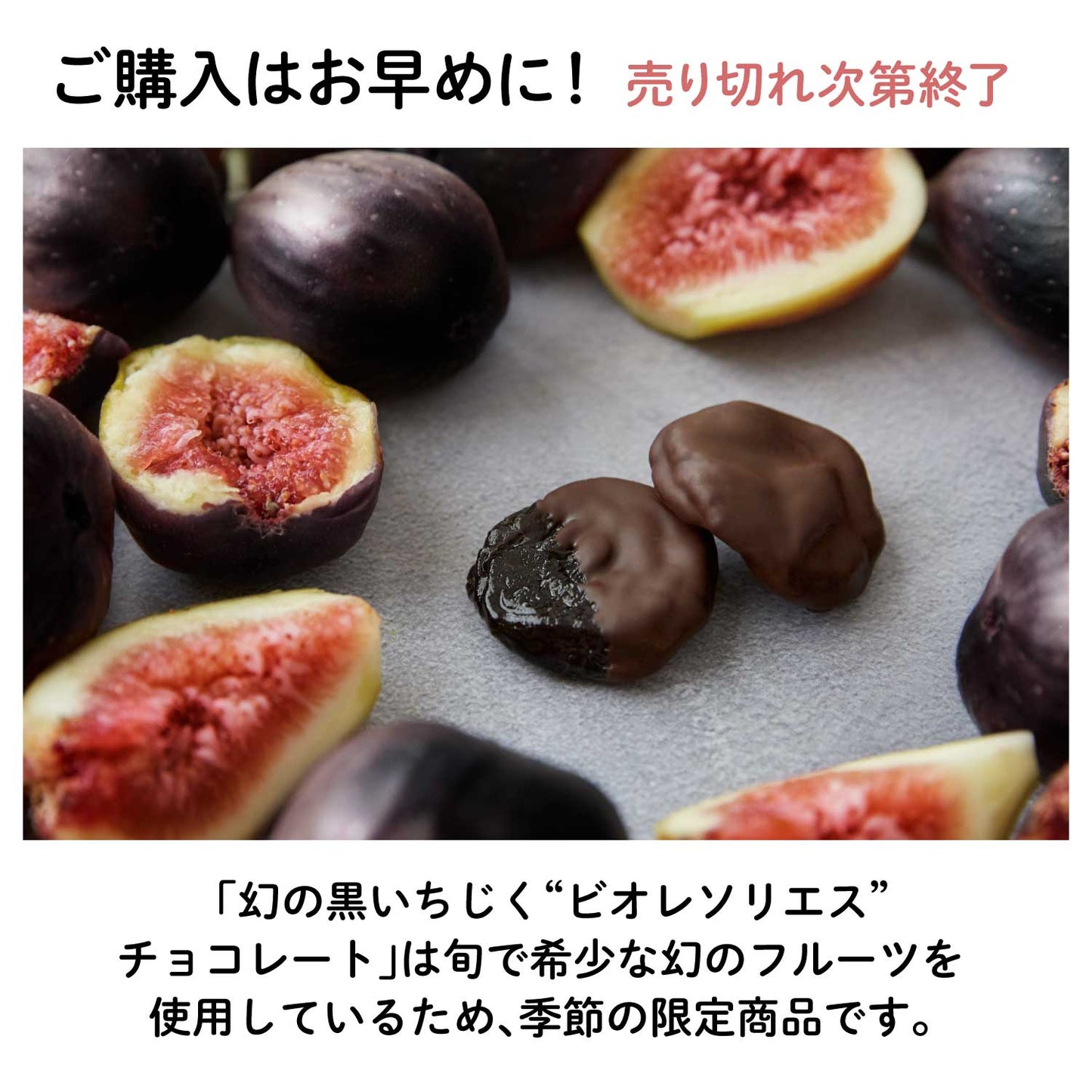 幻の黒いちじく"ビオレソリエス"フルーツチョコレート