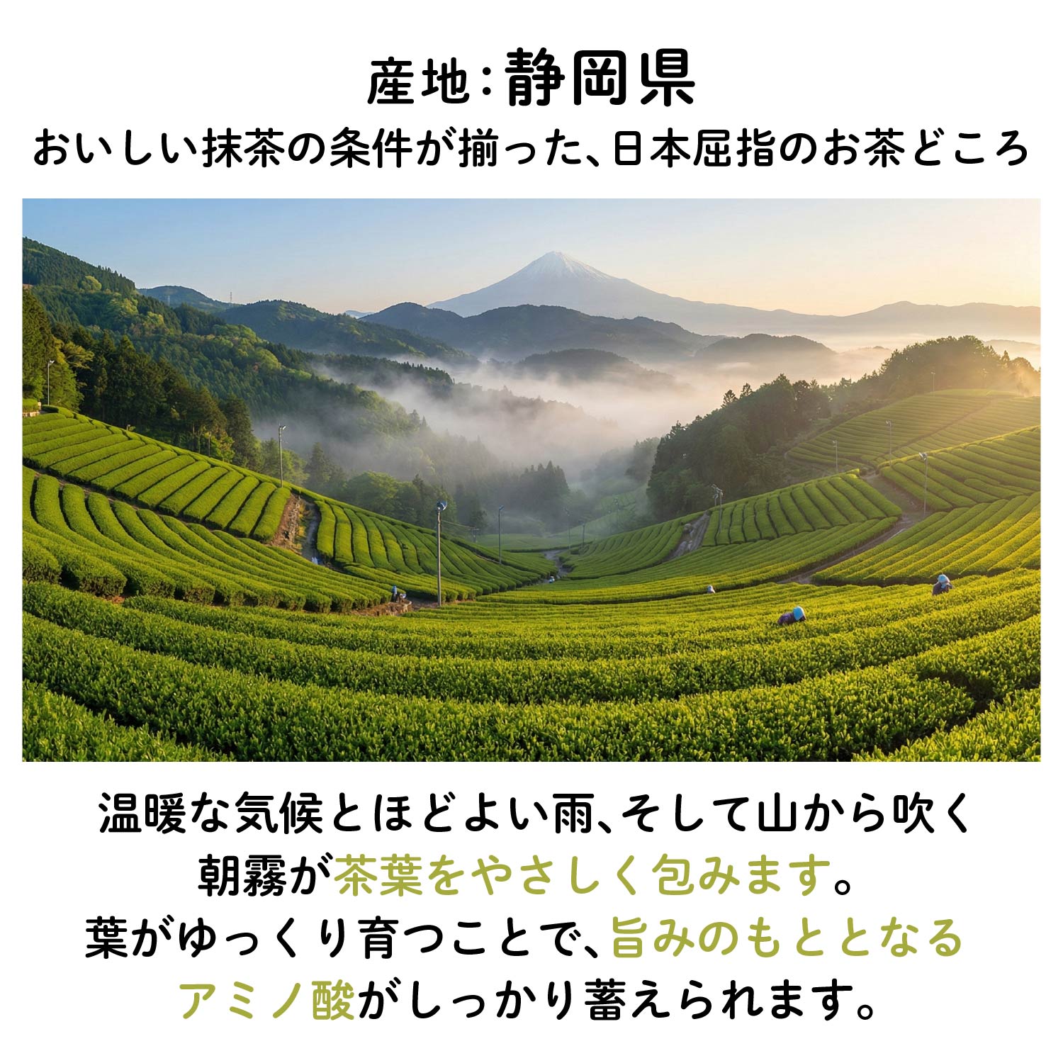 WMATCHA_LP_10.jpg__PID:82616b48-852b-4495-b634-99b033956b5f